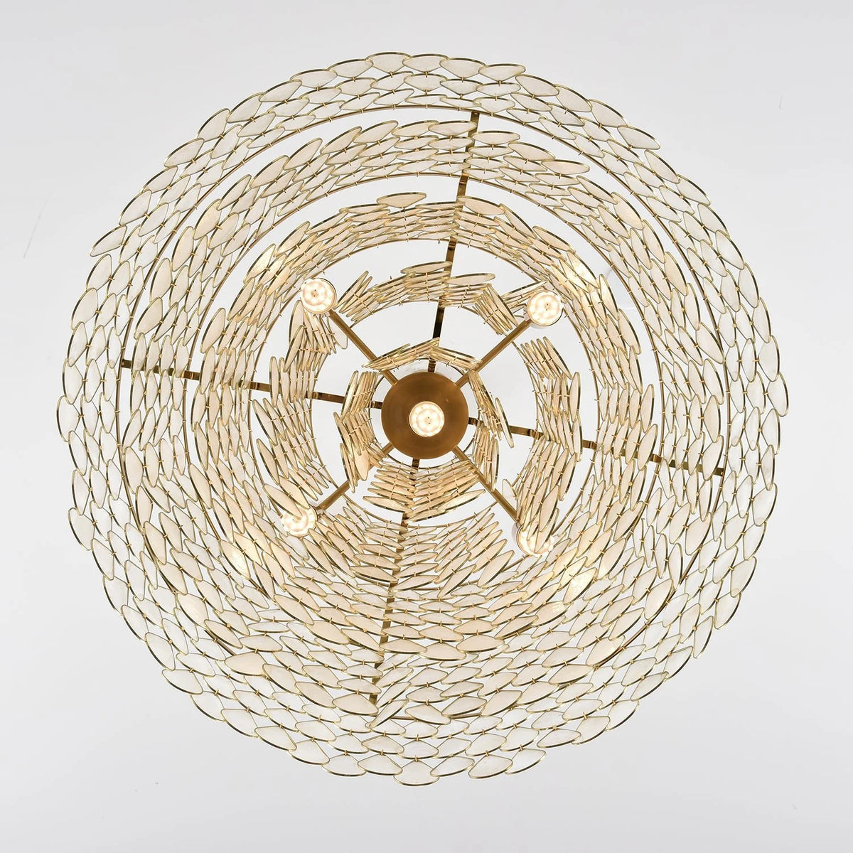 Teardrops Shell Chandelier