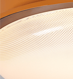 Caelan Ceiling Light