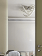 Abstract Ceiling Lamp