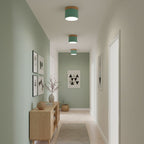 Alva Wooden Surface Downlight