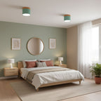 Alva Wooden Surface Downlight
