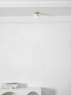 Alva Wooden Surface Downlight