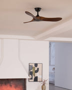 Aero Breeze Ceiling Fan