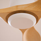 Amelia Ceiling Fan