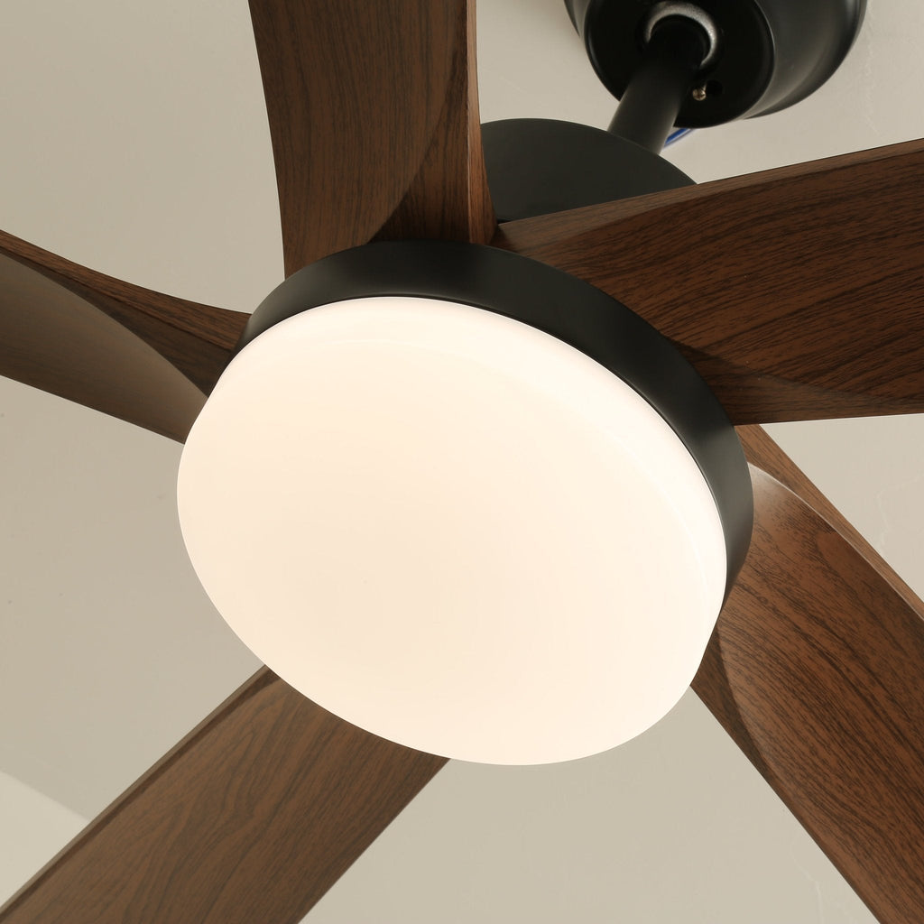 Auralin Breeze Ceiling Fan Light