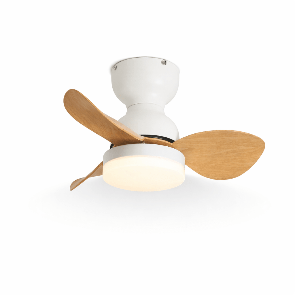 Aeroleaf Ceiling Fan Light
