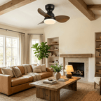 Aeroleaf Ceiling Fan Light