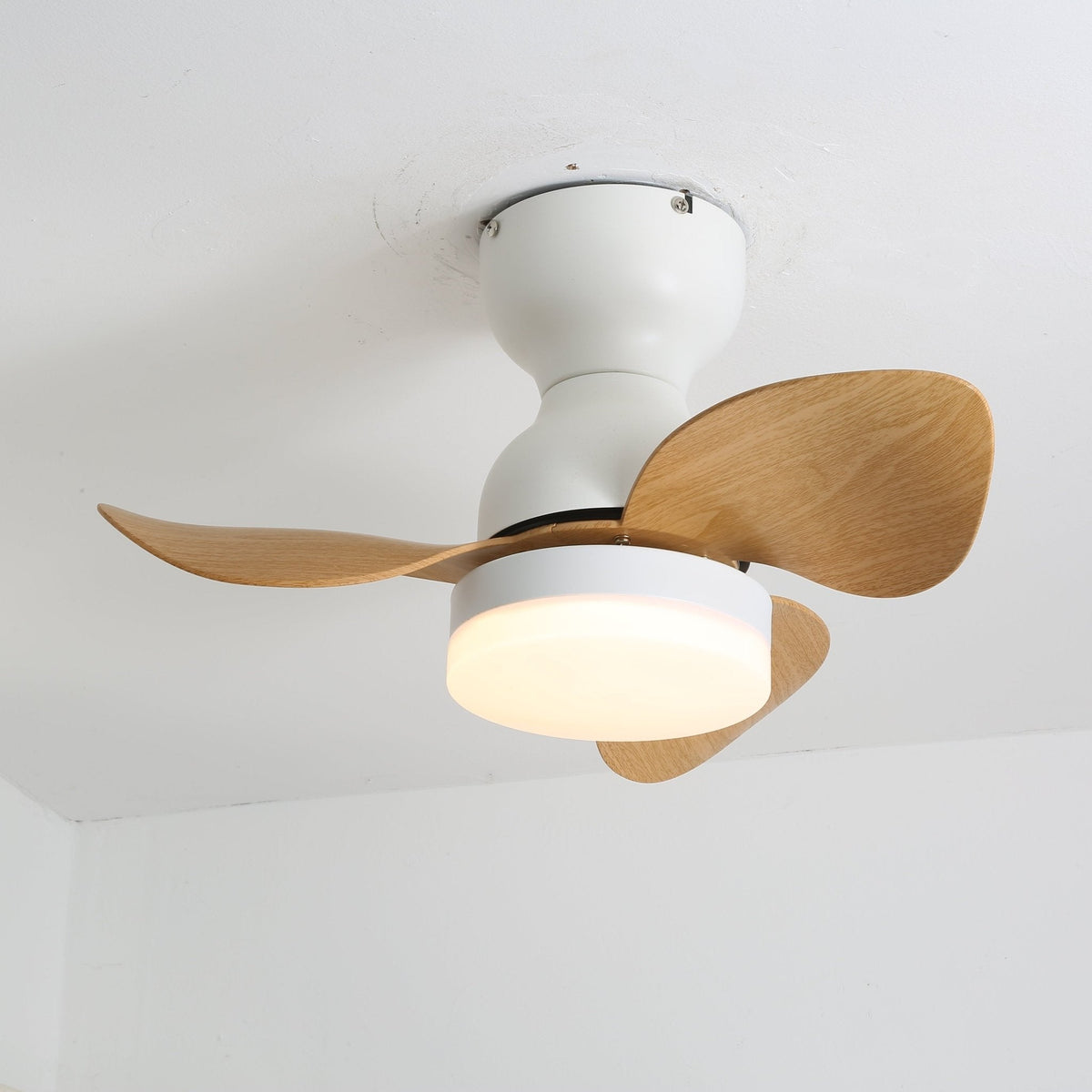 Aeroleaf Ceiling Fan Light