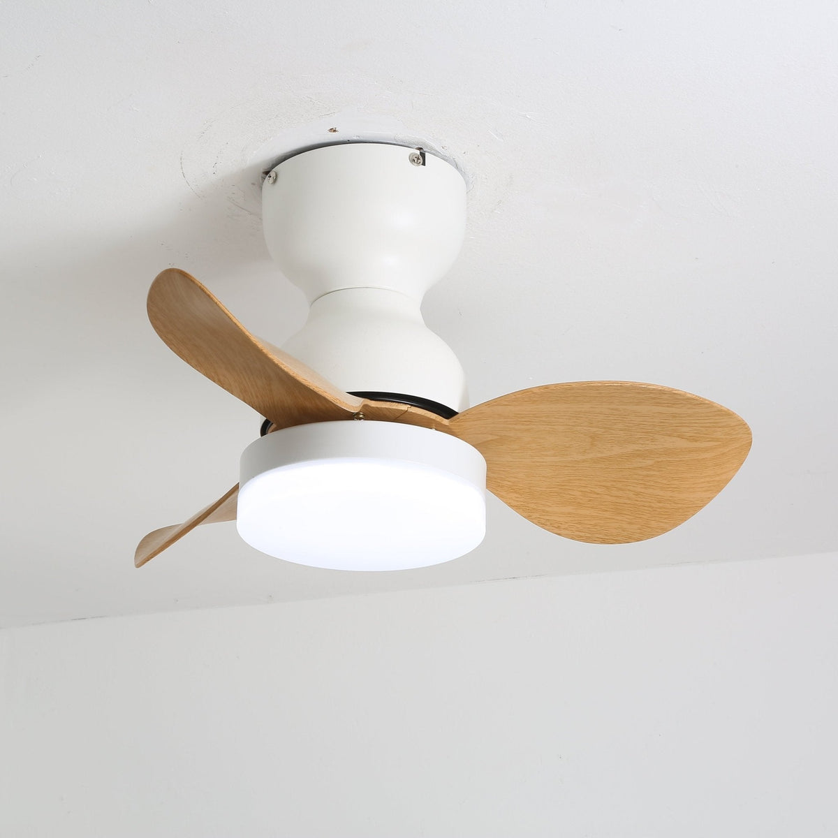 Aeroleaf Ceiling Fan Light