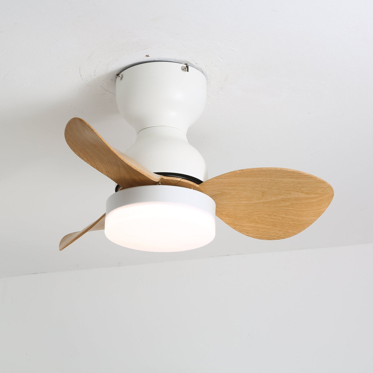 Aeroleaf Ceiling Fan Light