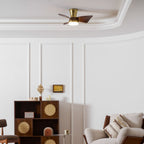 Breeze Lux Ceiling Fan Light