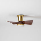 Breeze Lux Ceiling Fan Light
