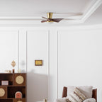 Breeze Lux Ceiling Fan Light
