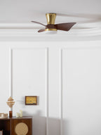 Breeze Lux Ceiling Fan Light