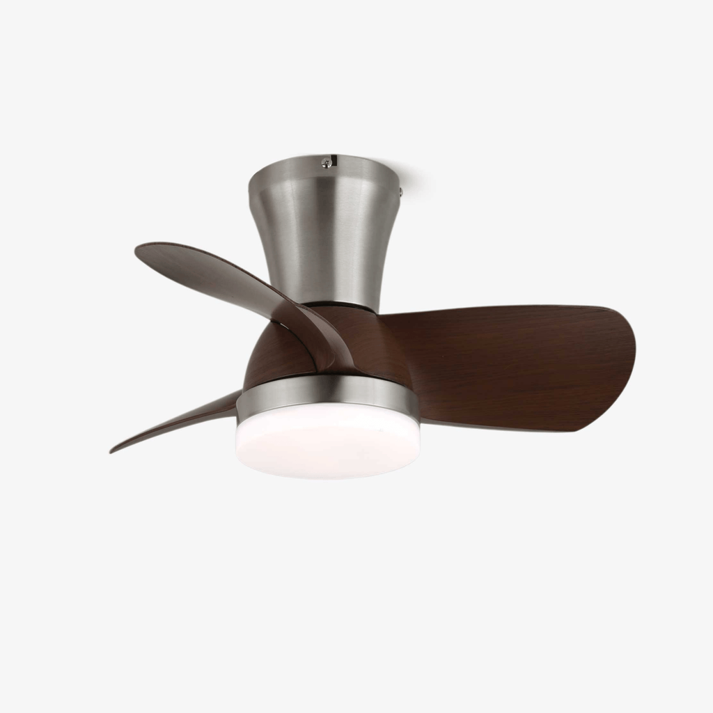 Aero Echo Ceiling Fan Light