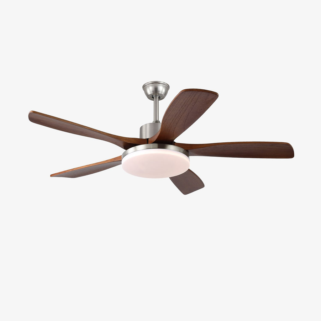 Lunet Ceiling Fan Light