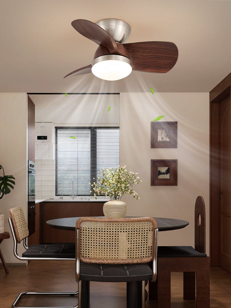 Miroter Ceiling Fan Light