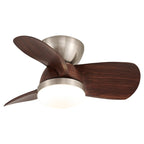 Miroter Ceiling Fan Light