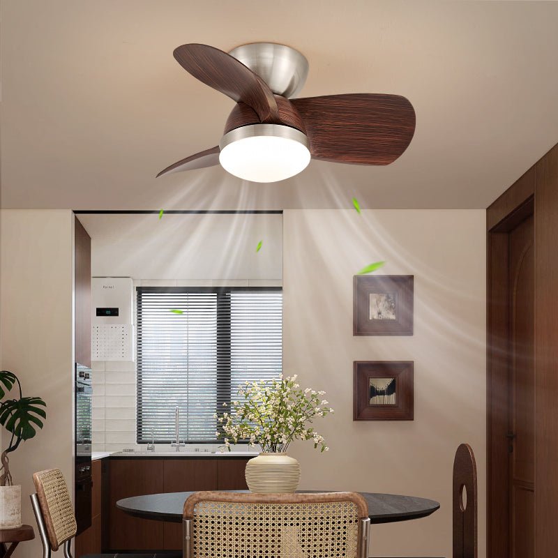 Miroter Ceiling Fan Light