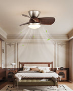 Miroter Ceiling Fan Light