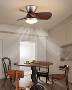 Miroter Ceiling Fan Light