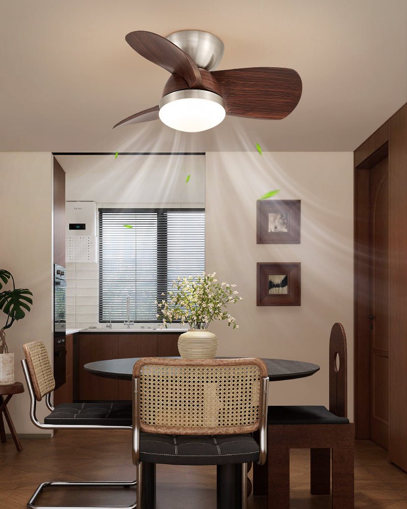 Miroter Ceiling Fan Light