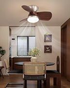 Miroter Ceiling Fan Light