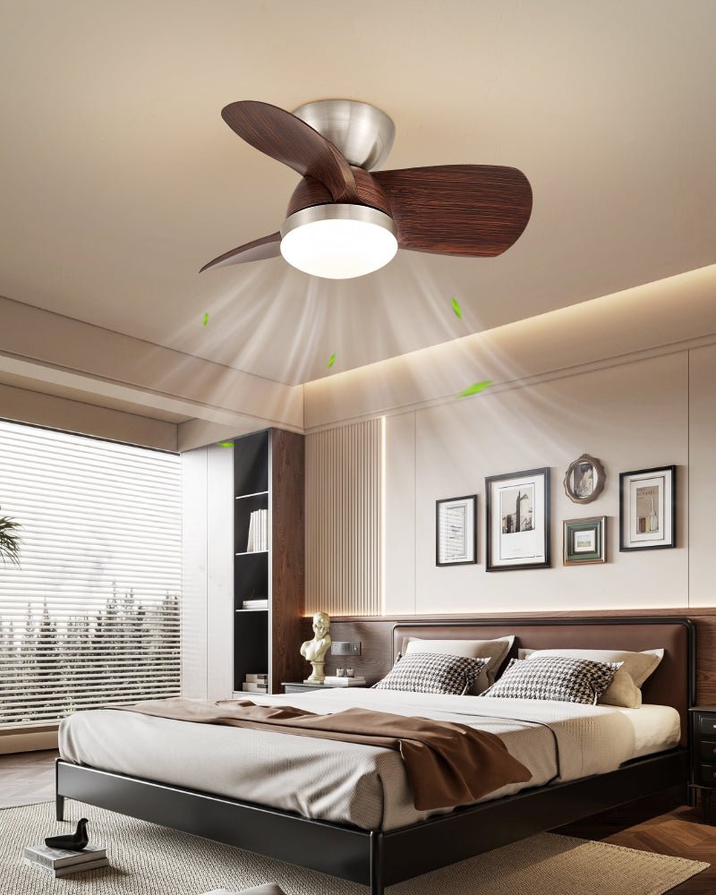 Miroter Ceiling Fan Light