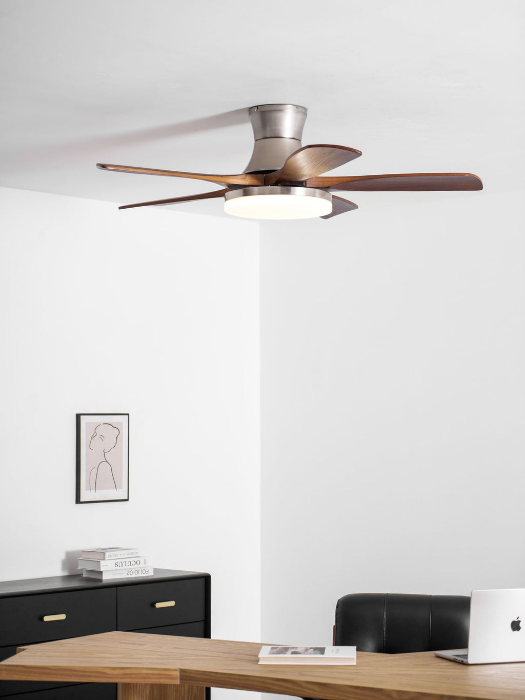 Liam Ceiling Fan Light