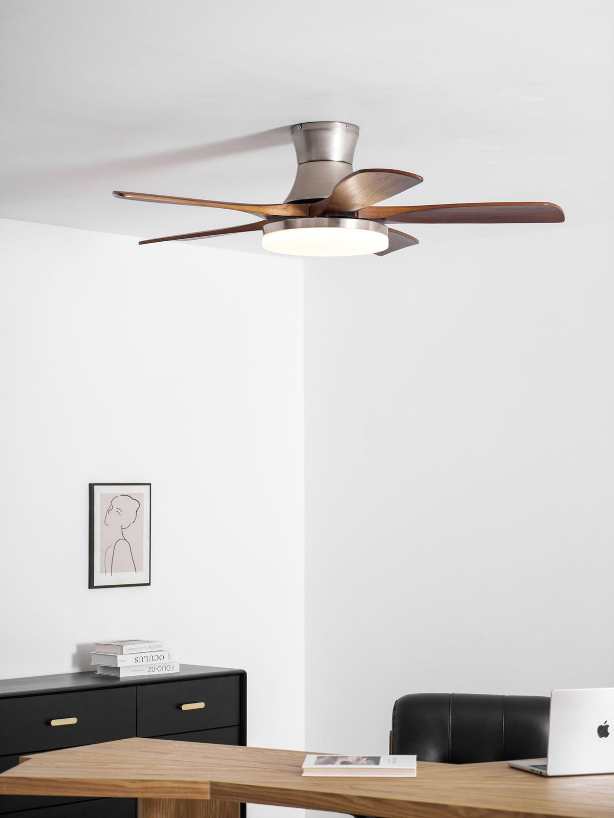 Liam Ceiling Fan Light