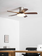 Liam Ceiling Fan Light