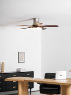 Liam Ceiling Fan Light