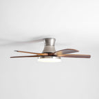 Liam Ceiling Fan Light