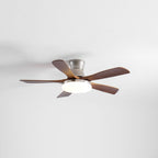 Liam Ceiling Fan Light