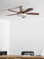 Liam Ceiling Fan Light