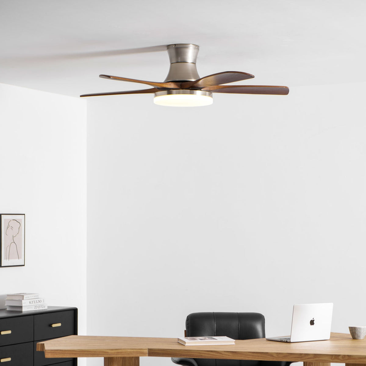 Liam Ceiling Fan Light