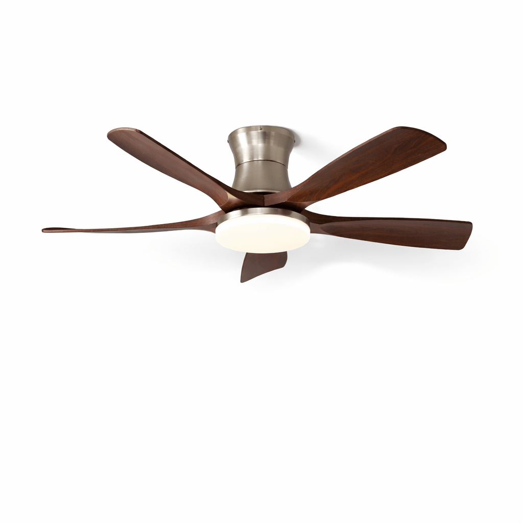 Windara Ceiling Fan Light