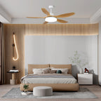 Keltis 48"/52" Ceiling Fan Light