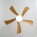 Avenli Ceiling Fan Light