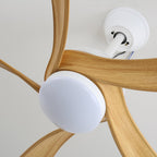 Avenli Ceiling Fan Light