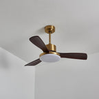 Aurevo Ceiling Fan Light