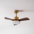 Aurevo Ceiling Fan Light