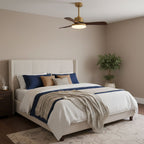 Aurevo Ceiling Fan Light