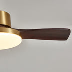 Aurevo Ceiling Fan Light