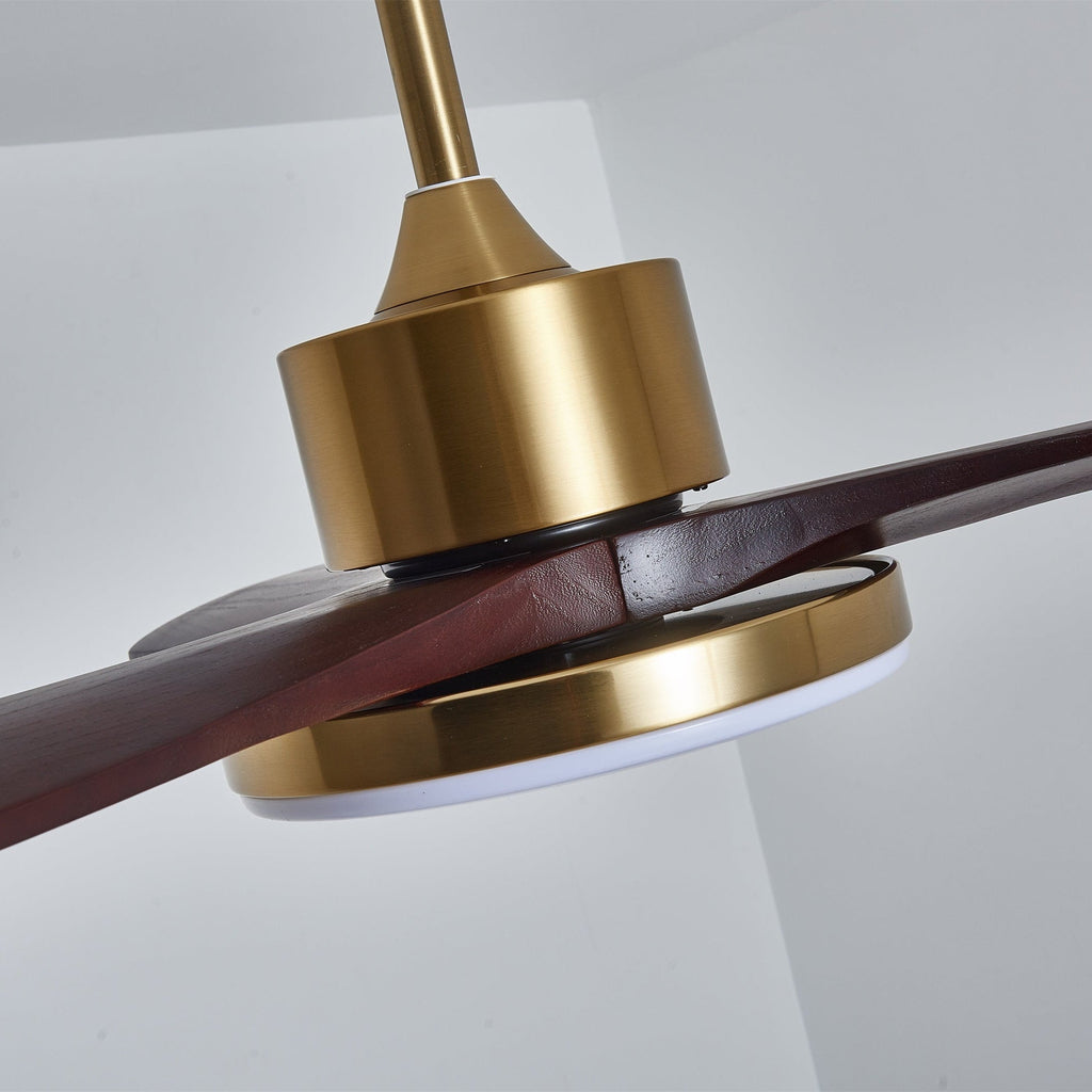 Aurevo Ceiling Fan Light
