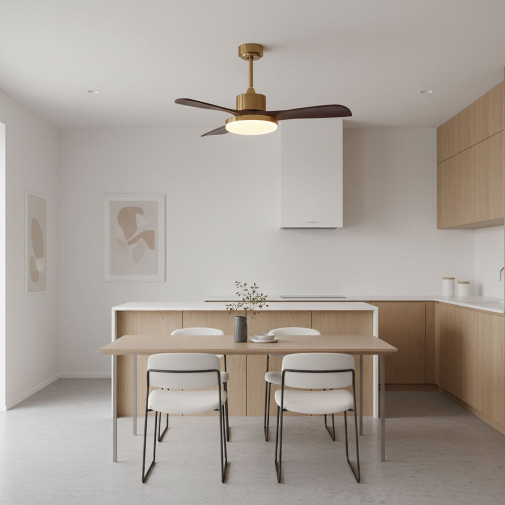 Aurevo Ceiling Fan Light