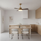 Aurevo Ceiling Fan Light