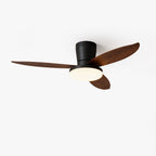 Aldren Ceiling Fan Light
