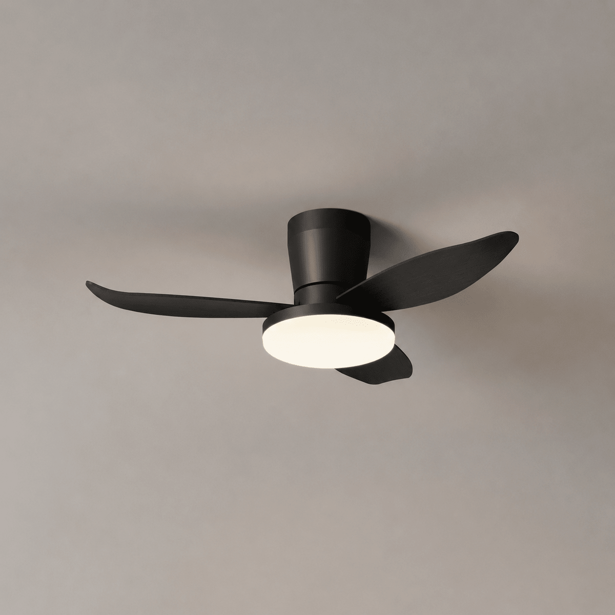 Aldren Ceiling Fan Light
