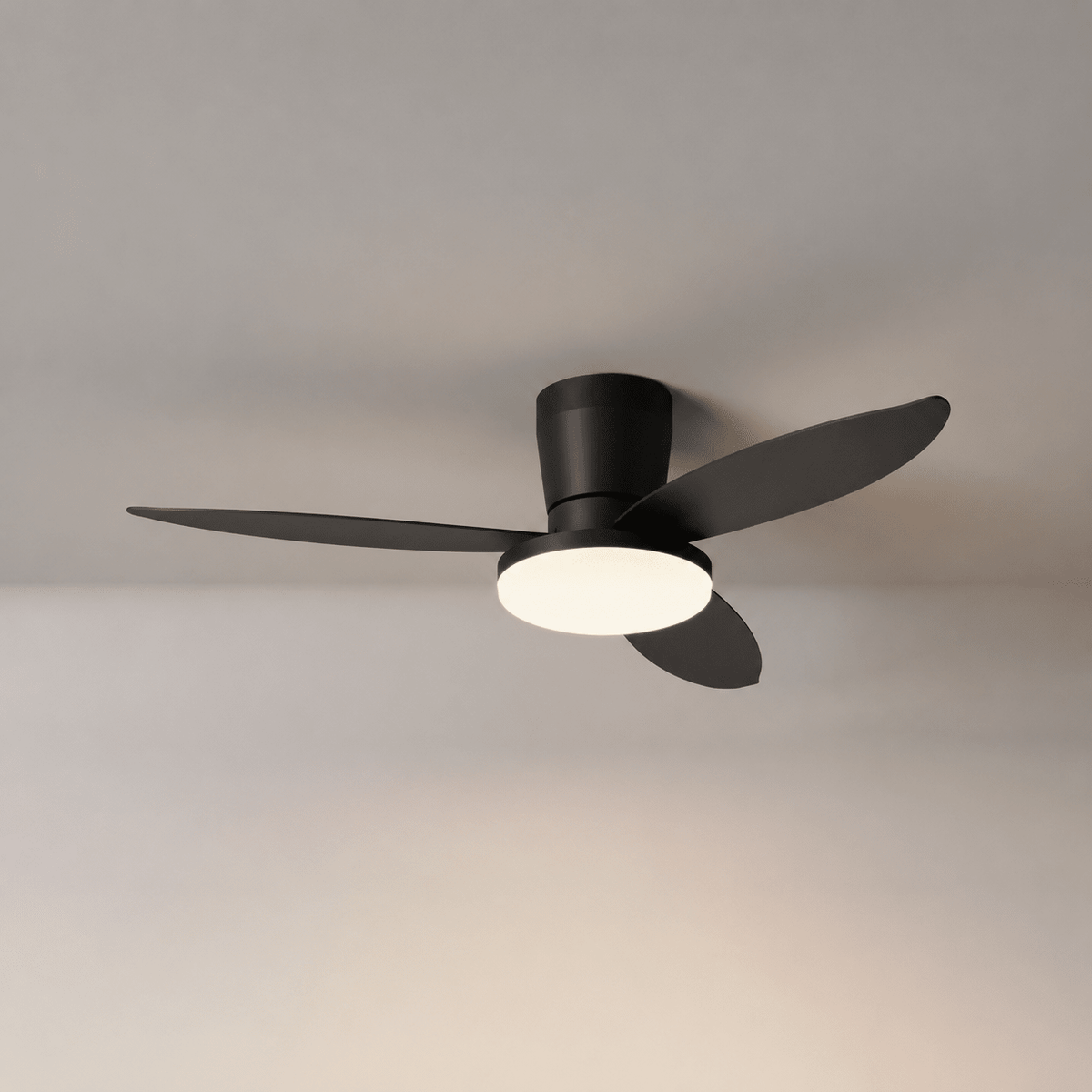 Aldren Ceiling Fan Light